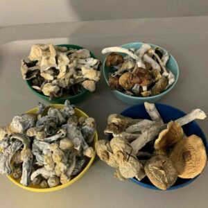 Malabar magic Mushroom delivery near me in UK