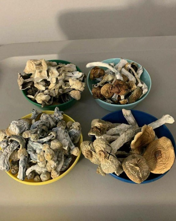 Malabar magic Mushroom delivery near me in UK