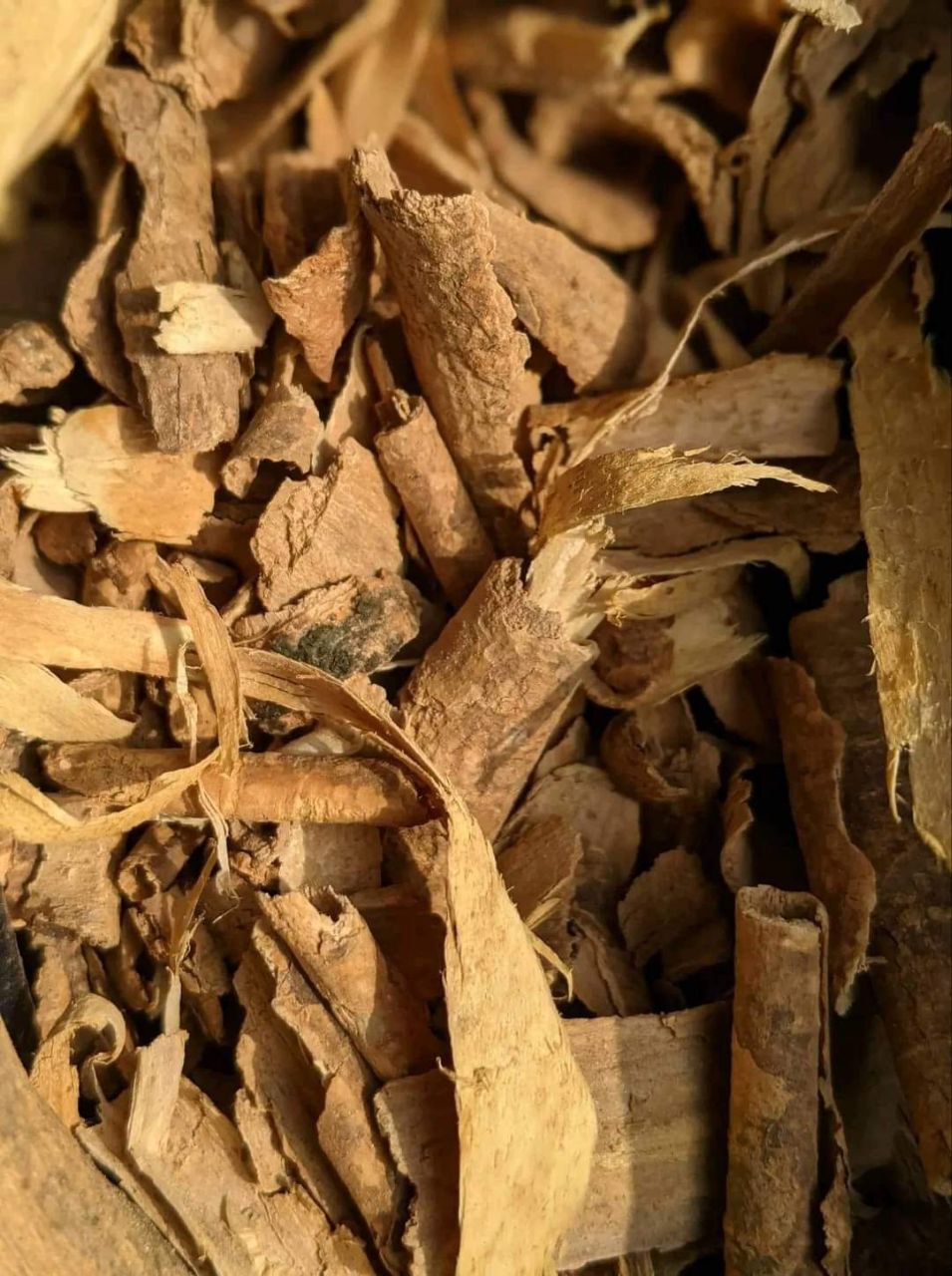 Buy Yohimbe Root Barks Near Me in the UK and Europe: A Natural Wellness Choice πΏπ¬π§πͺπΊ - Image 4