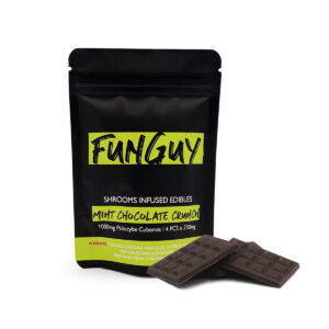 FunGuy Mint Chocolate Crunch UK