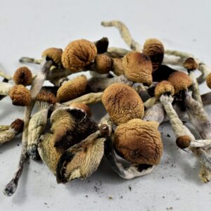 Ecuadorian Mushrooms delivery online UK