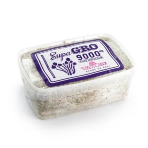 Buy Mexican Mushroom Grow Kit online UK